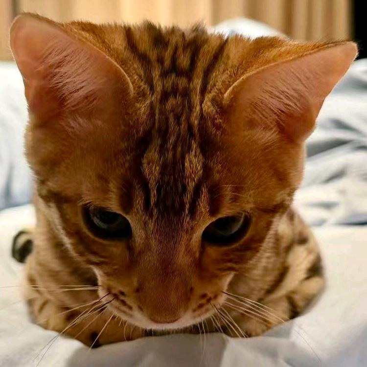 喜欢谁用你管?(见过梓渝两次版）