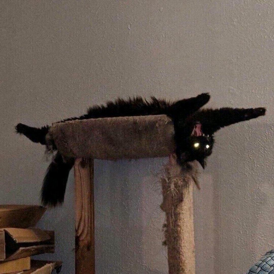 🍞
