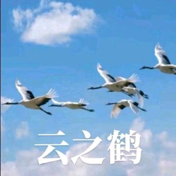 云之鹤