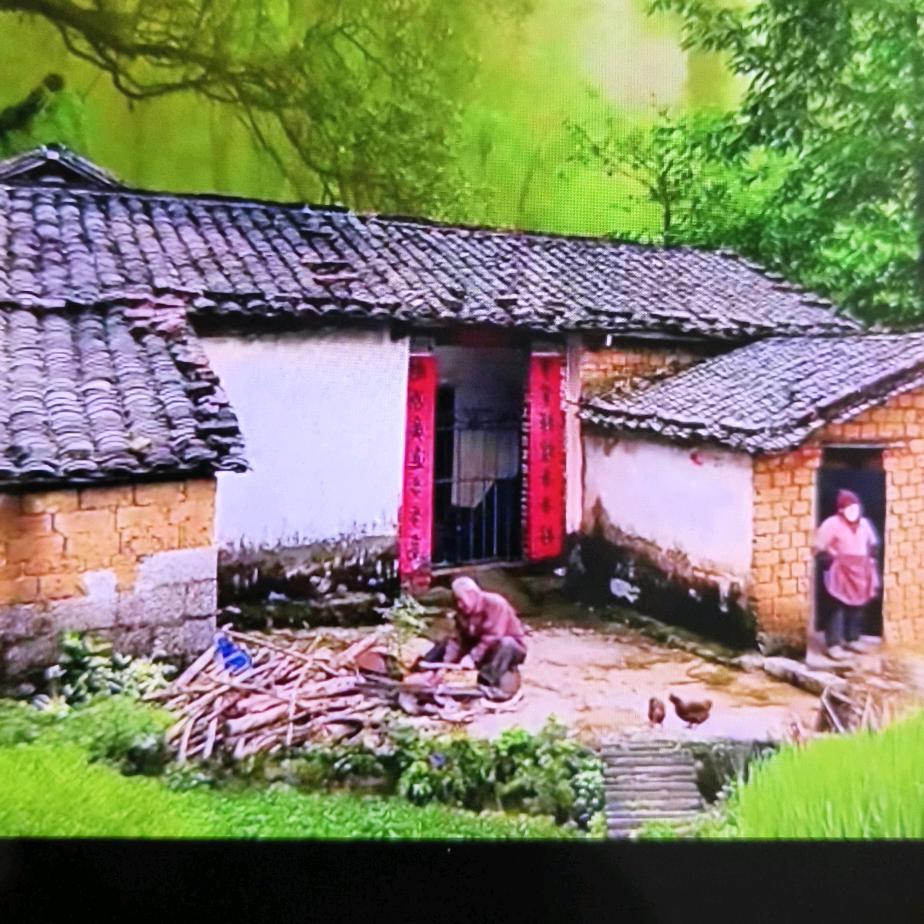 口罩二哥