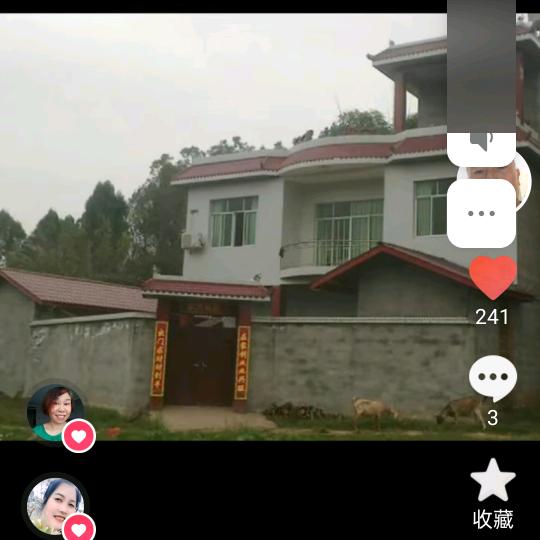 米老头  （北）