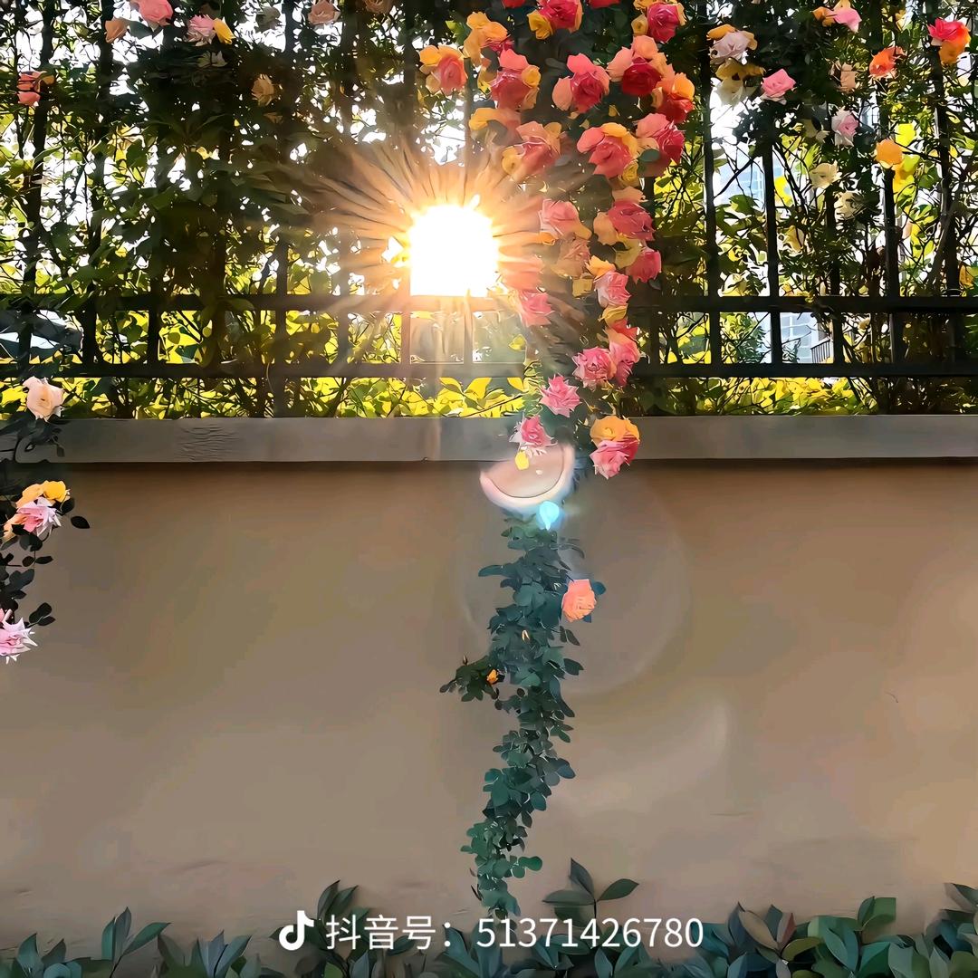 桑尼桑妮