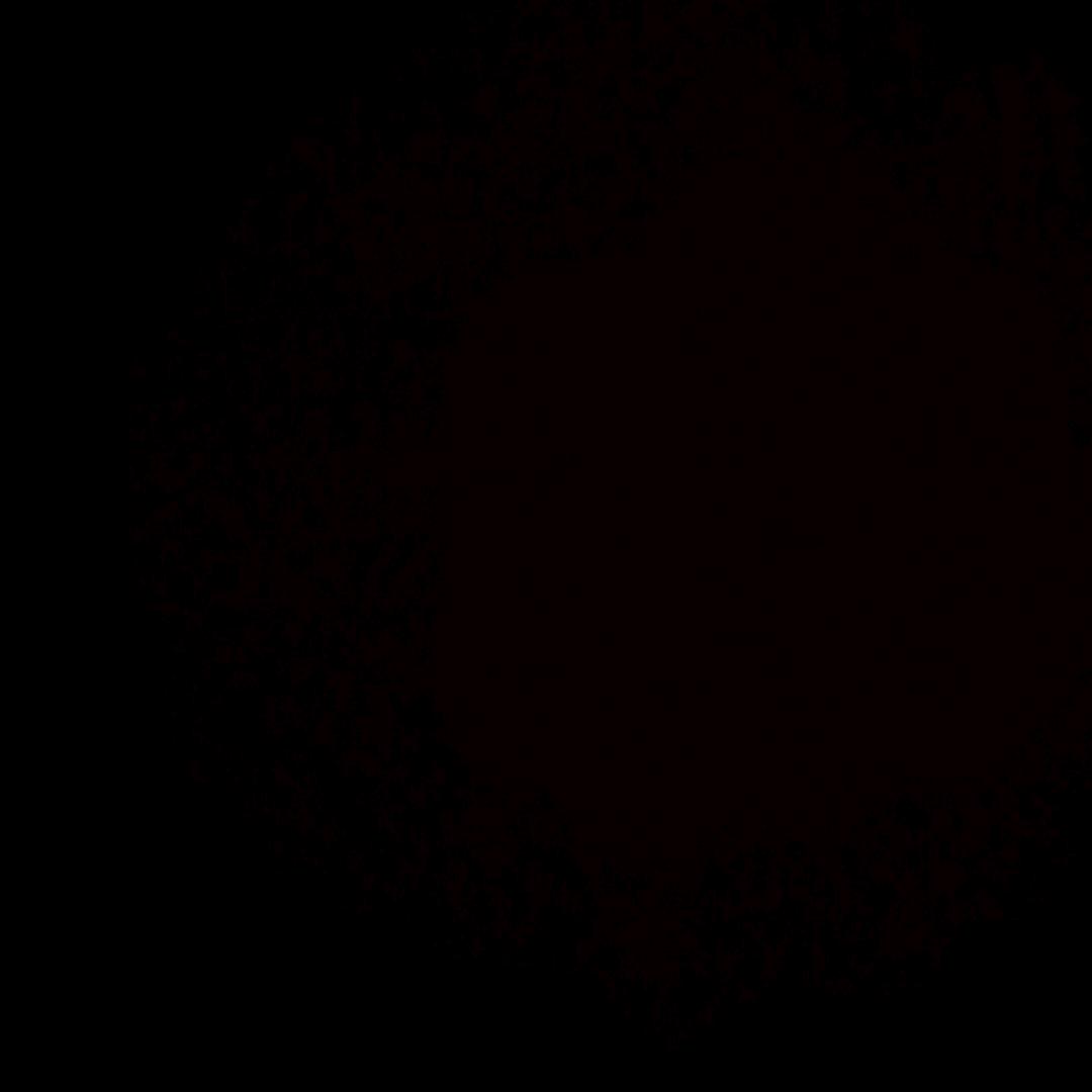 裁判文书包裹阿戴樱木