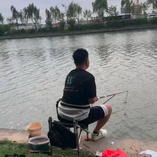 鲢鳙小王子