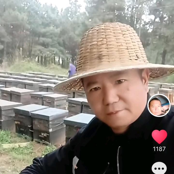 养蜂人刚哥