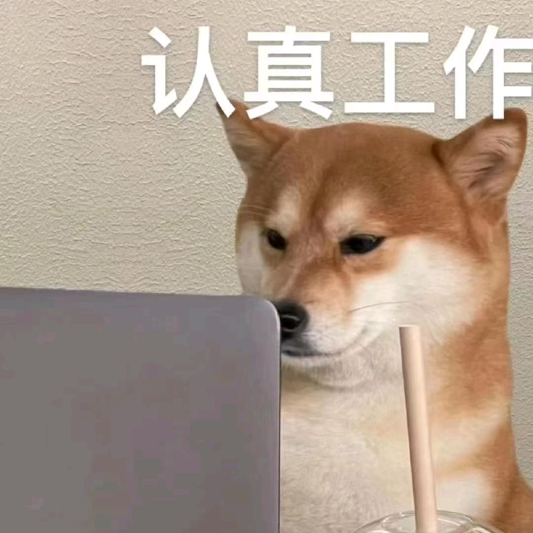 小浣熊