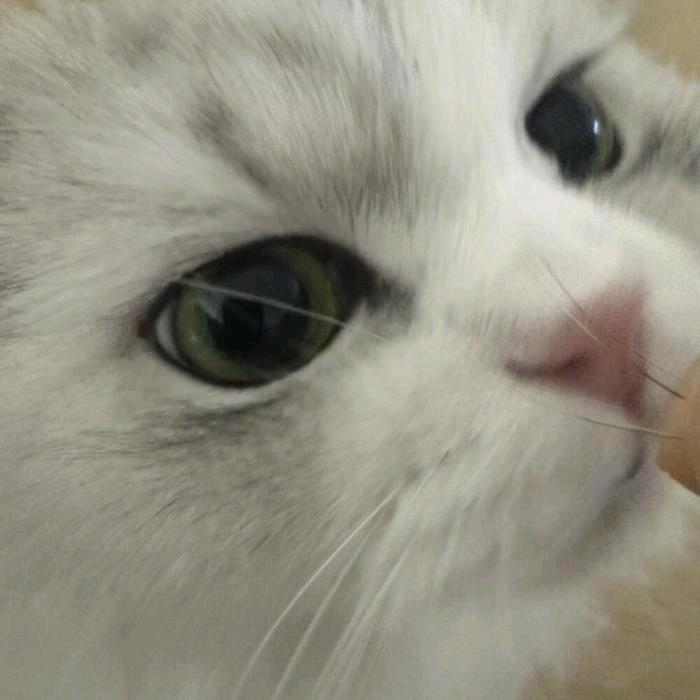 选择性失忆