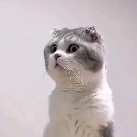 零零零