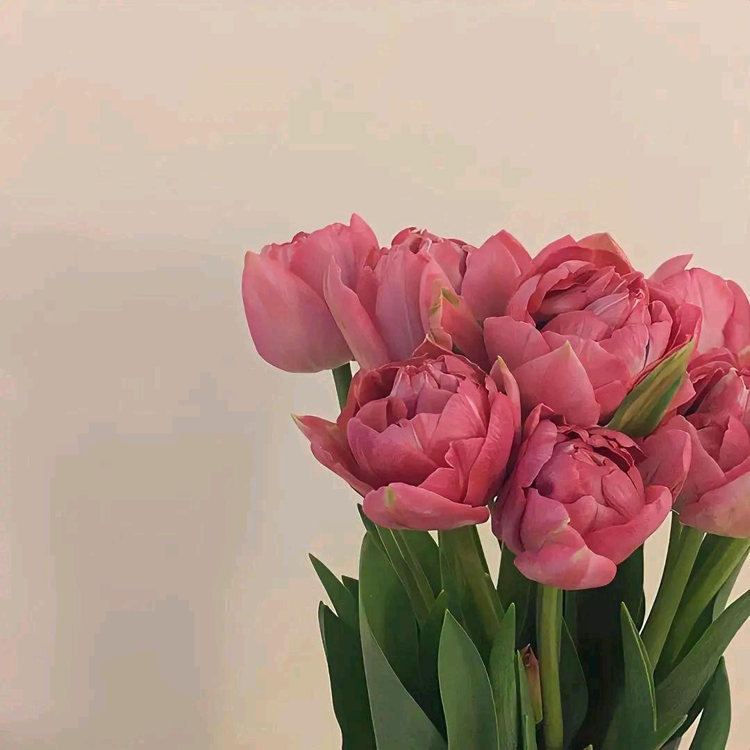 懒羊羊懒羊羊