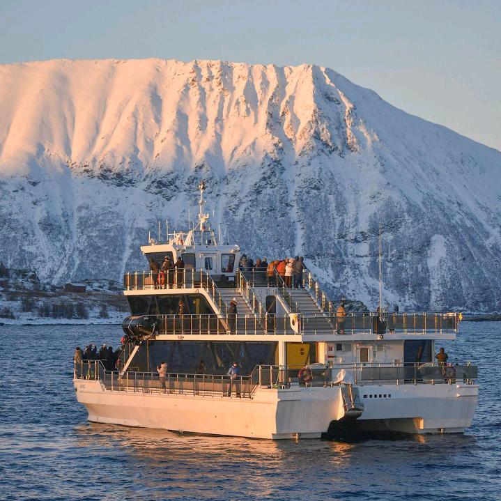 洲上锦年跨境好物出品