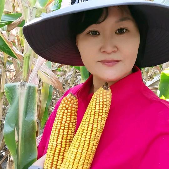 拜城县穗丰农资店