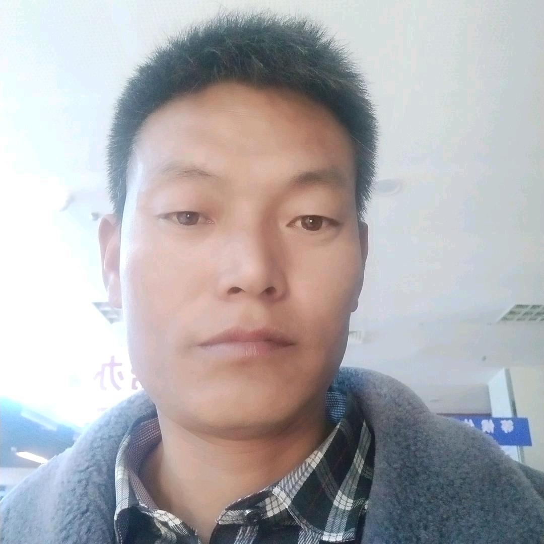 振文挖机板车租赁