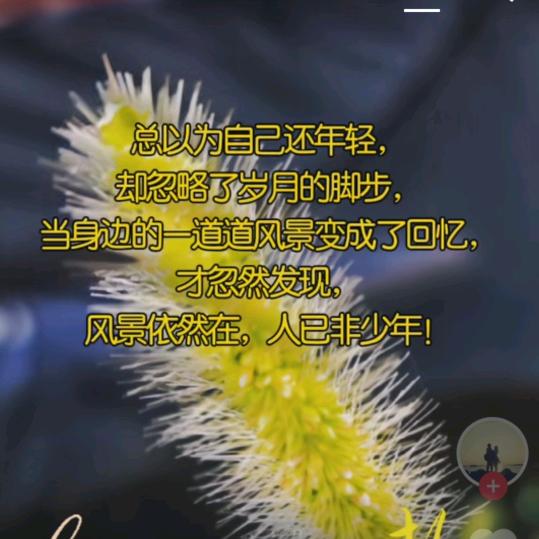 🌻湘韵🌻