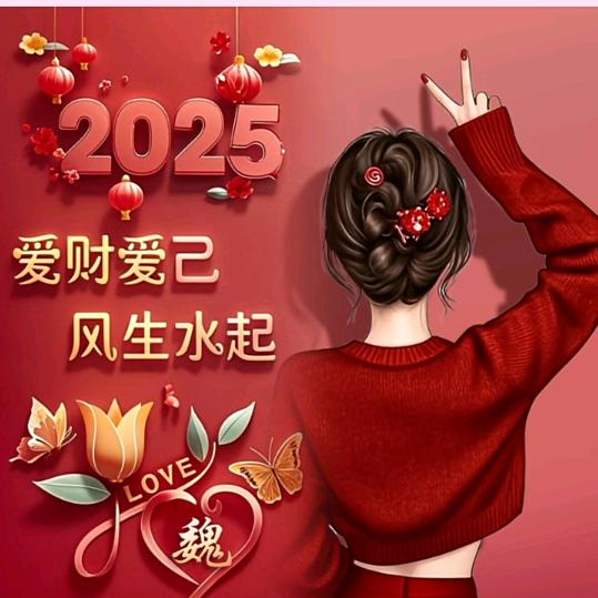 我的魏来不是梦