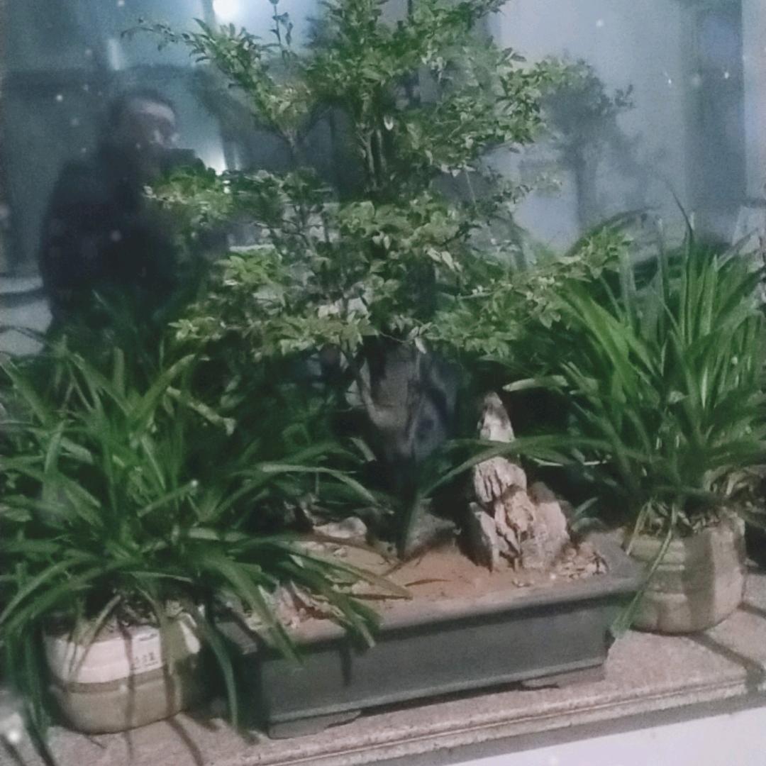 闫