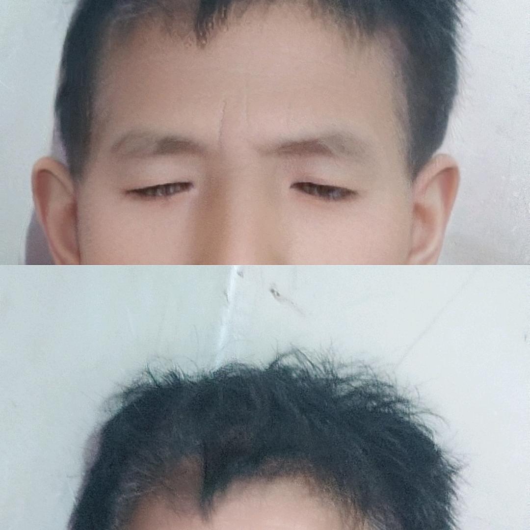 何新虎
