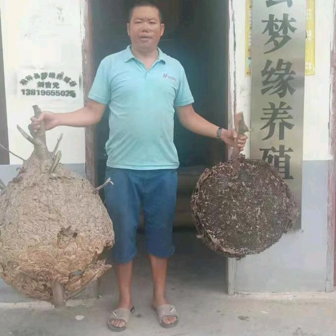 孤独终老