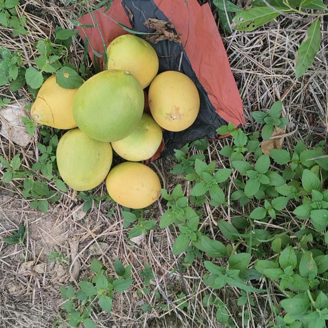 小容日用创意小铺