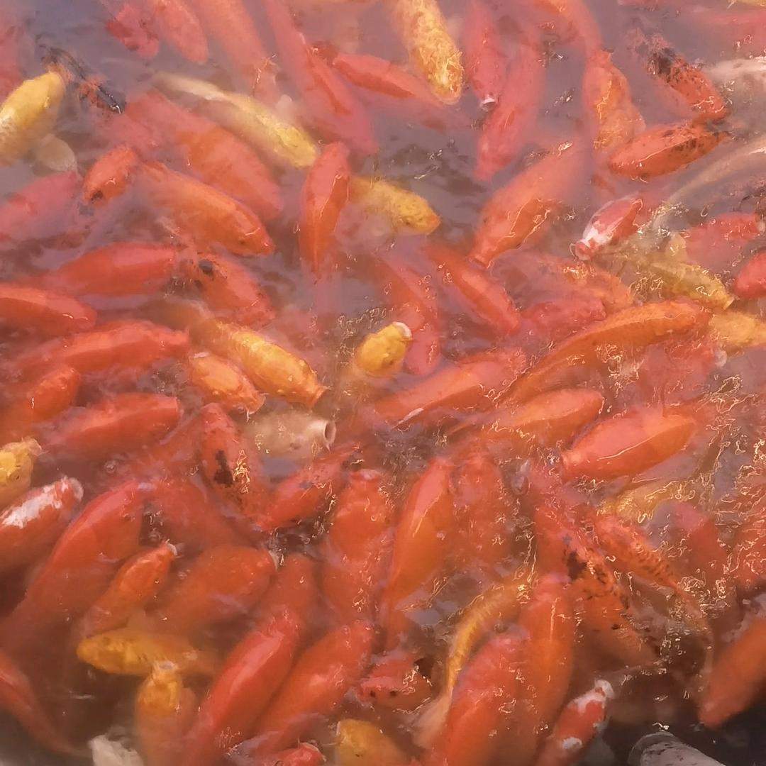 峰云界