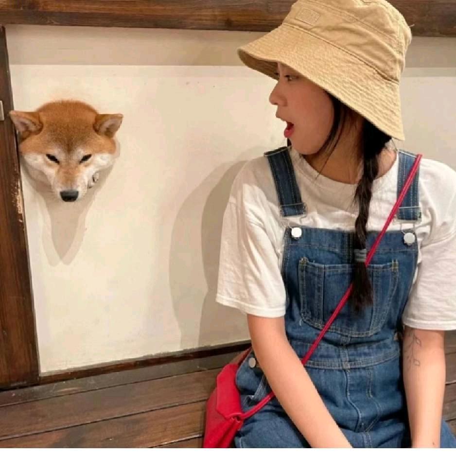 七喜
