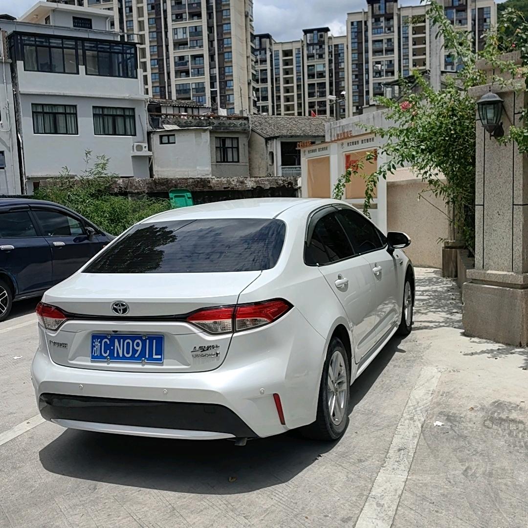 赵哥喜欢瑜伽✌