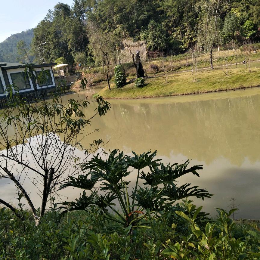 你从来都不懂我