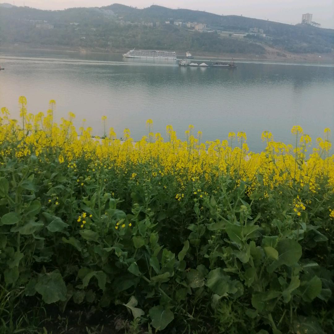 断殇