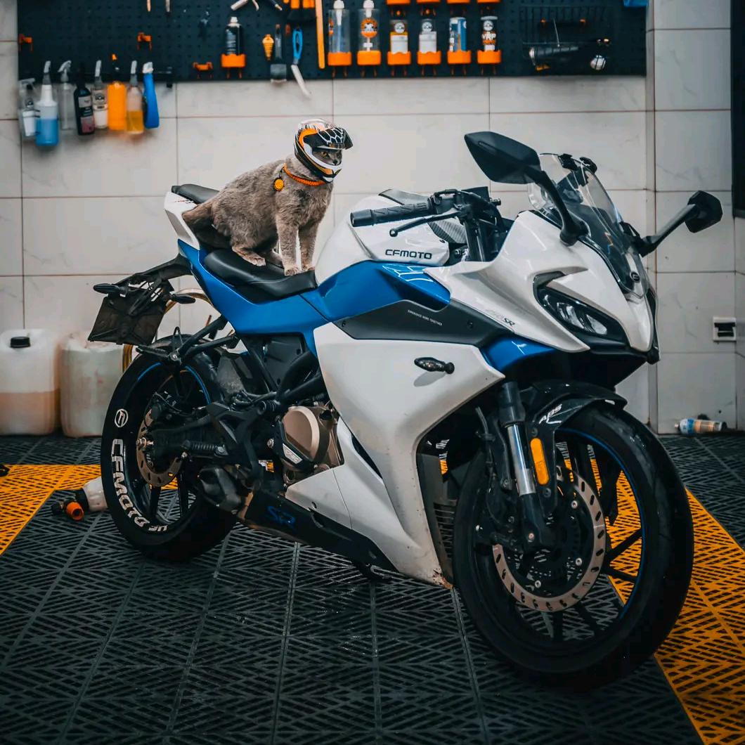 盲虾骑劫丶隐形战鸡