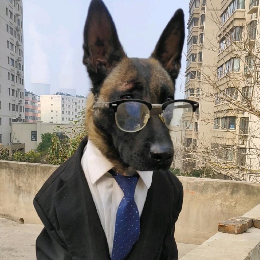 稻米