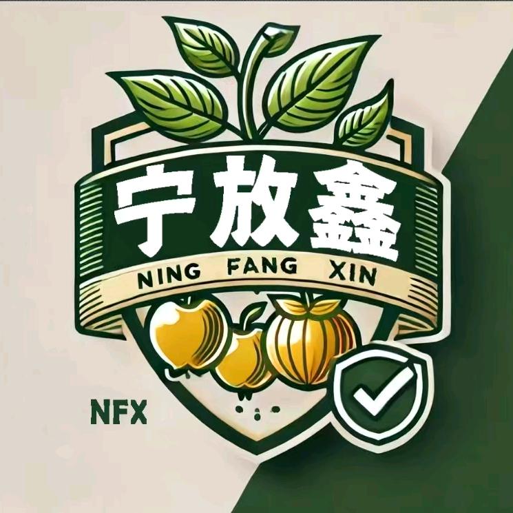 南京宁放鑫