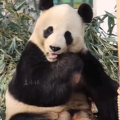玉田