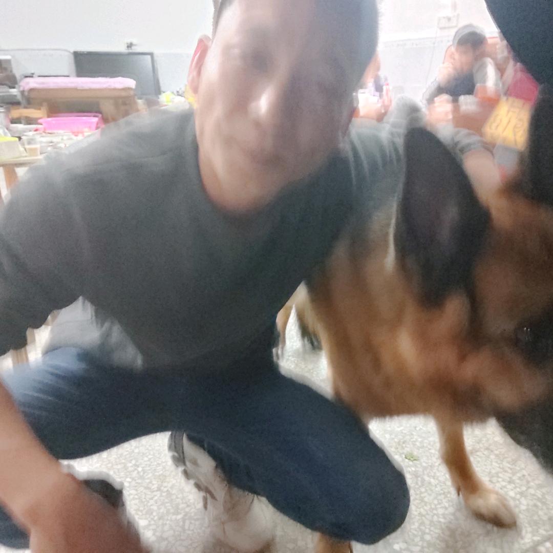 新华