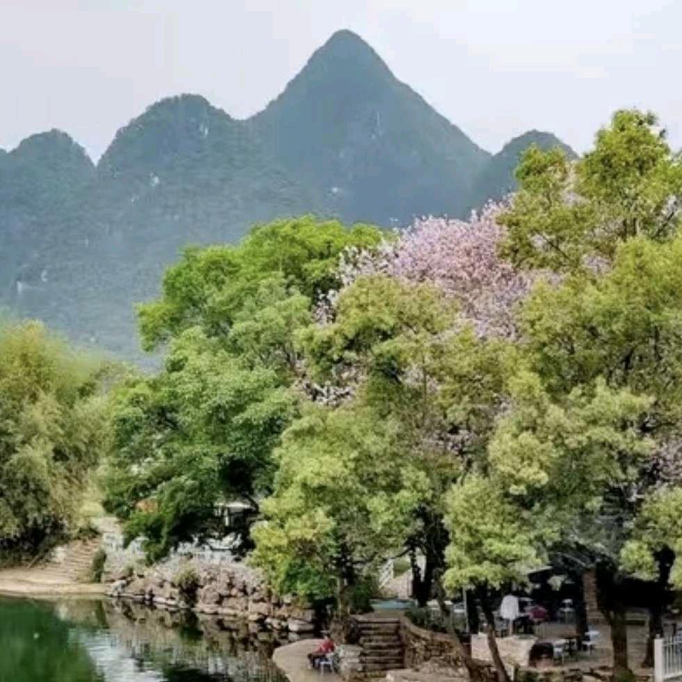 丽姐