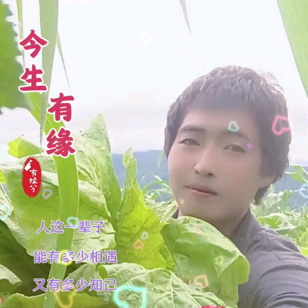 人在江湖