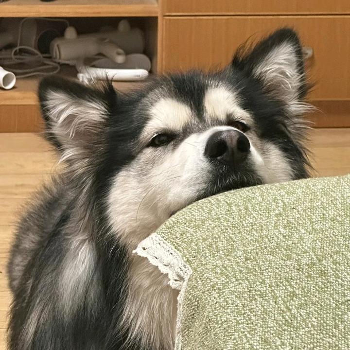 沉舟侧畔千帆过