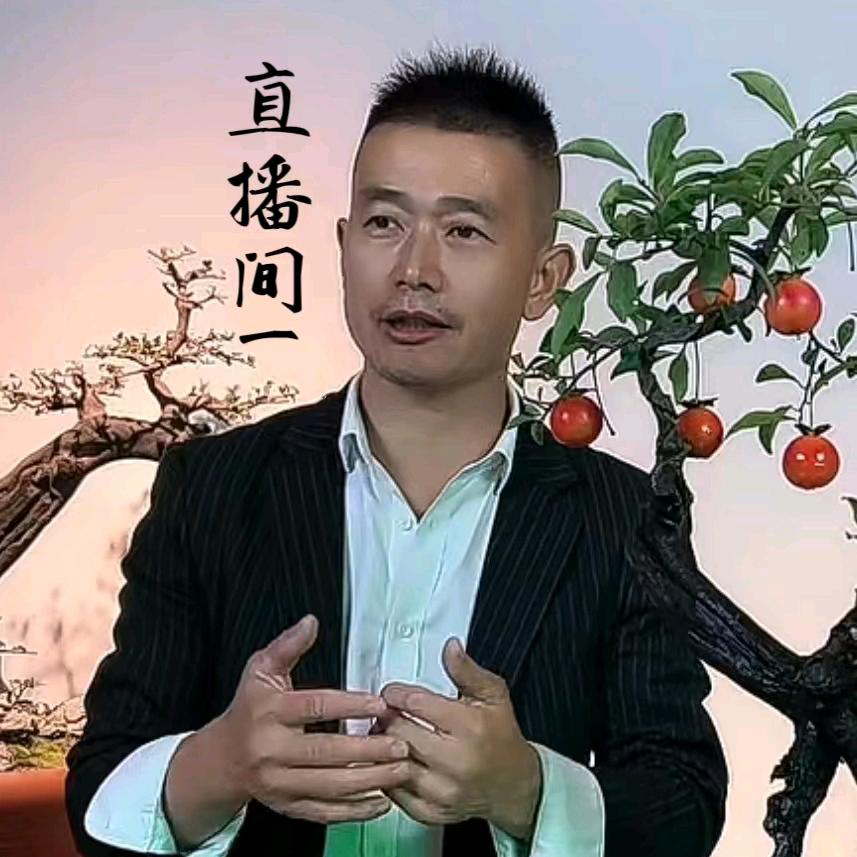 小马哥盆景集散中心红枫海棠