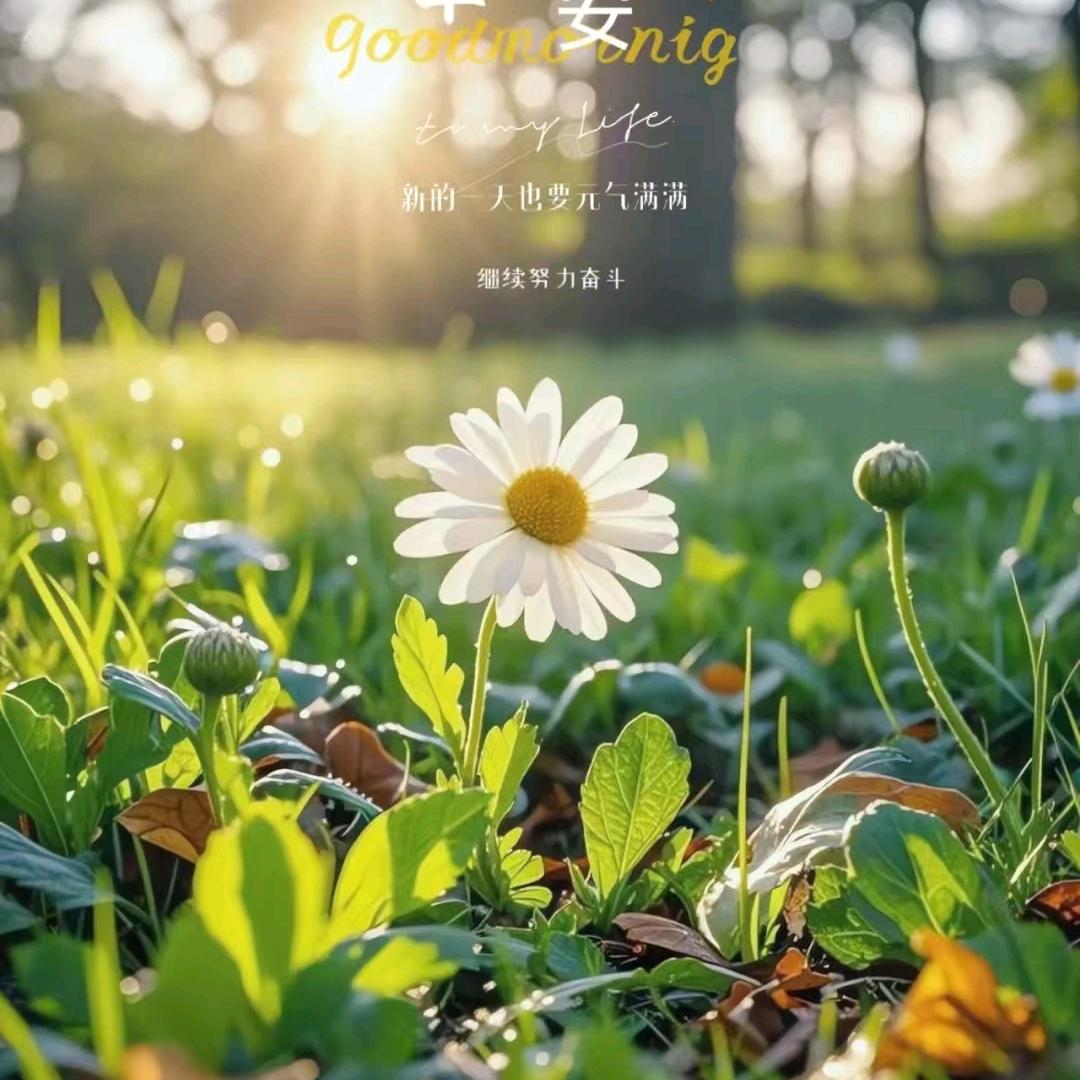 希雯的冰淇淋🍦