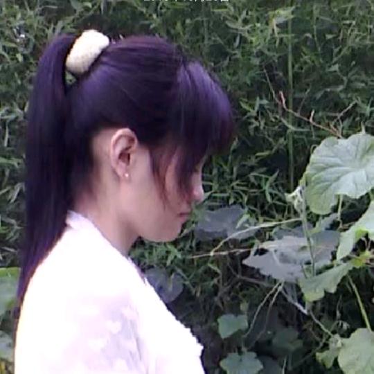 *凤姐*