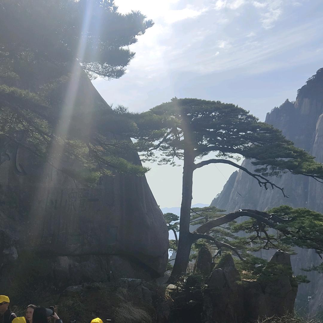 道法自然青岛坤合