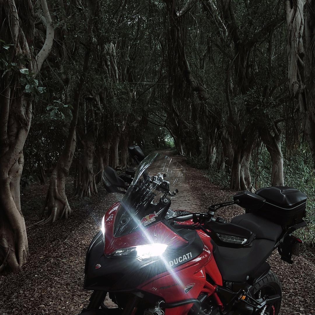 我是一个骚猪！