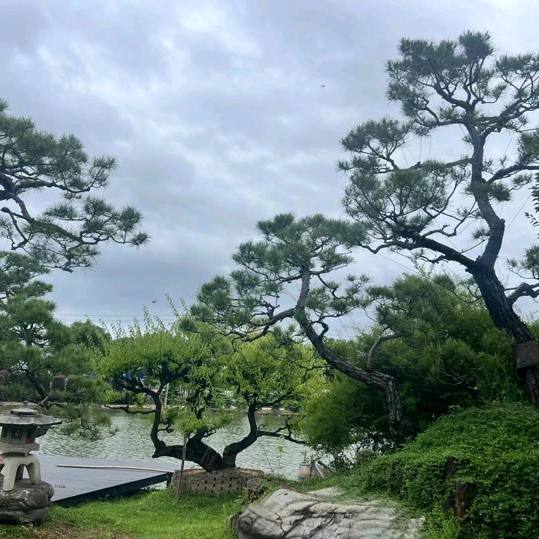 清澜园林