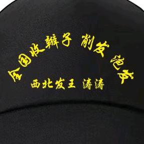 西北发王（涛涛全国大量收各类头发)