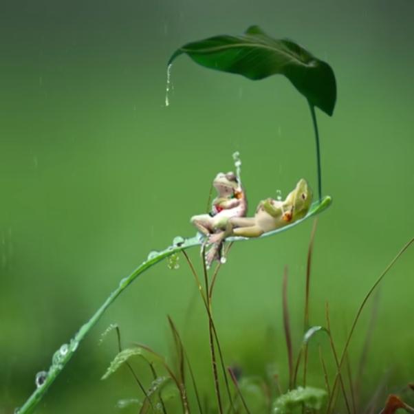 ꧁꫞吴💞灾无难꫞꧂