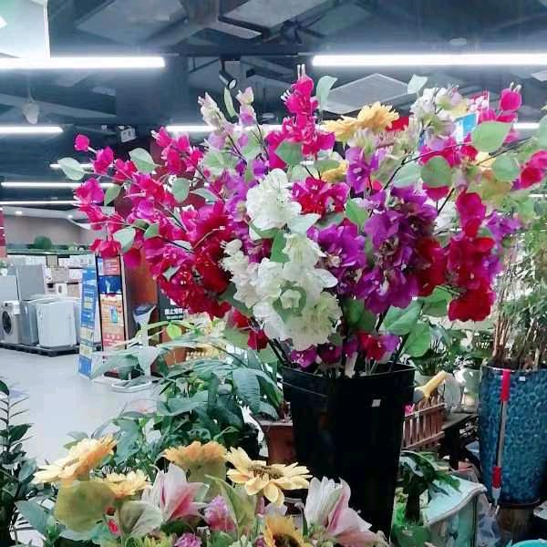 春暖花开^O^