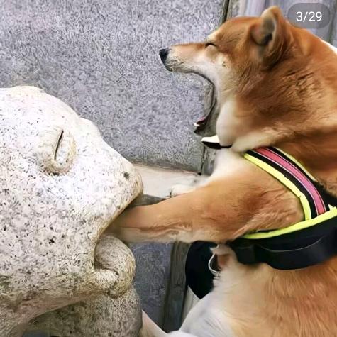 玑