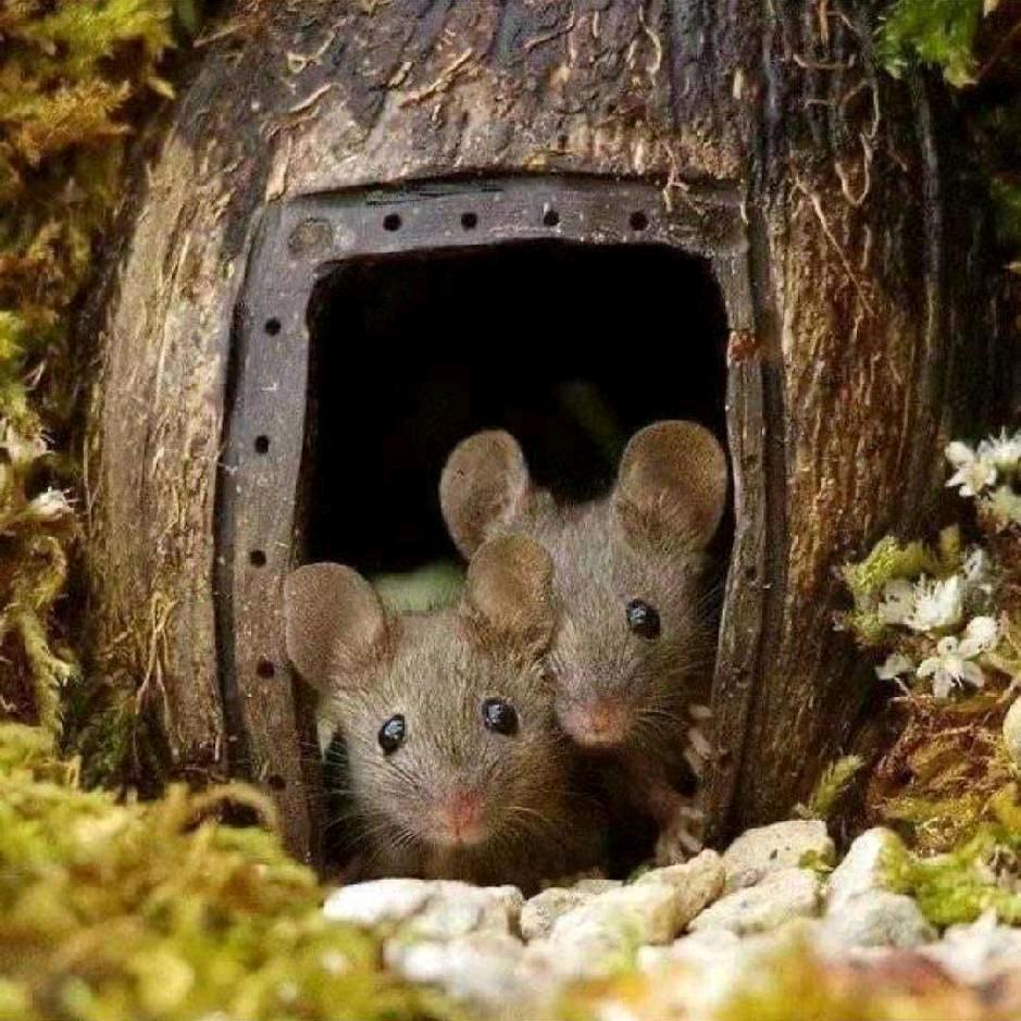 ໑ຼₒ₂⁴ღ᭄ 王ン哥🕊꧔ꦿ᭄💞