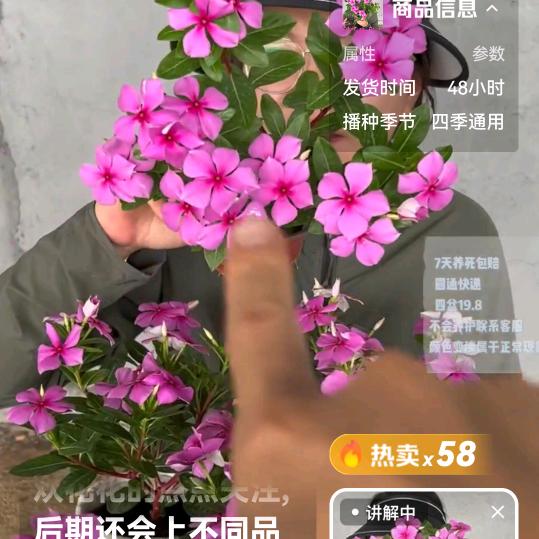 陪你到天亮