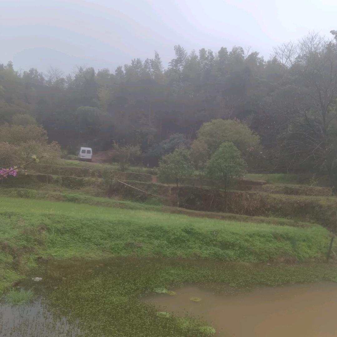 顺畅未来