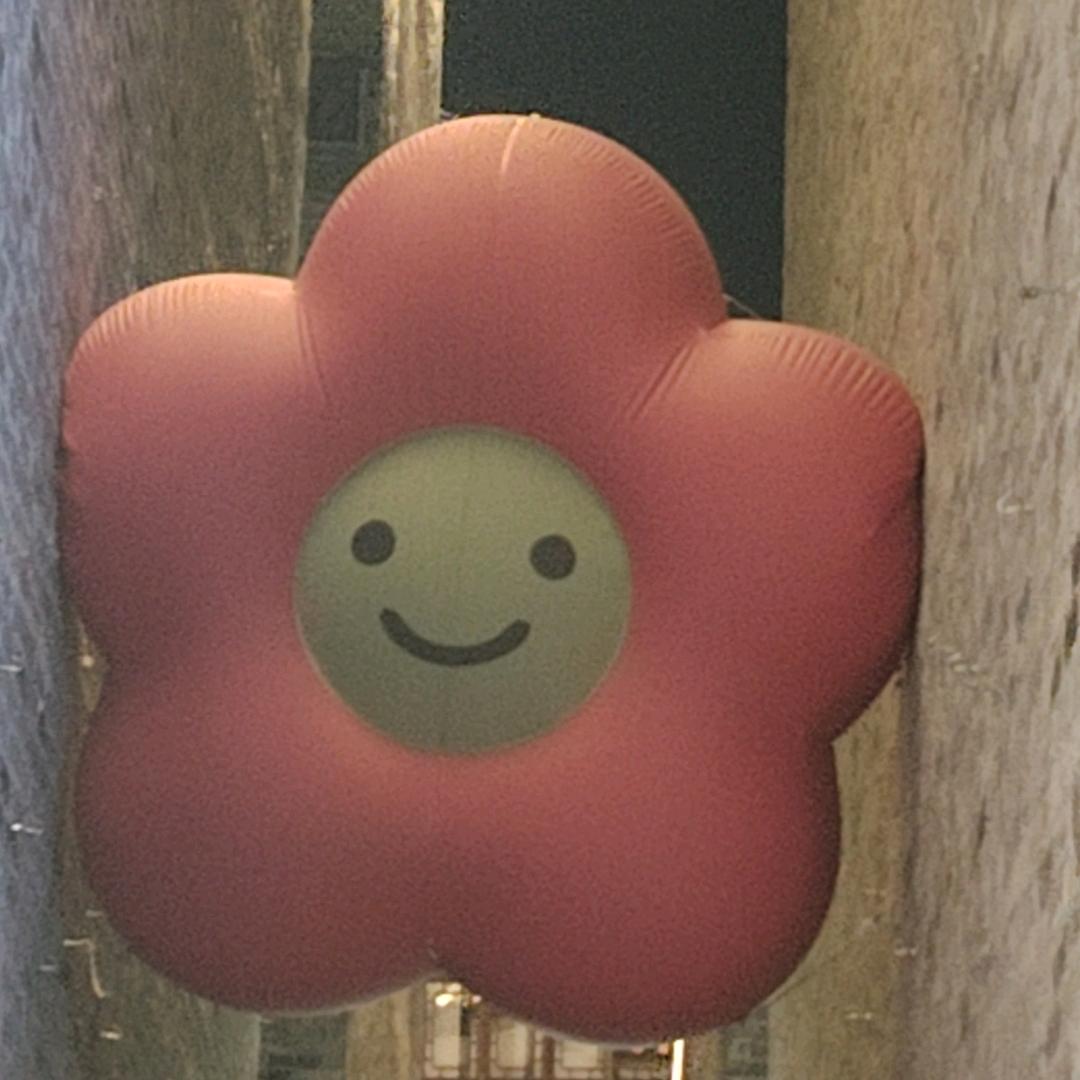 陌上芳菲