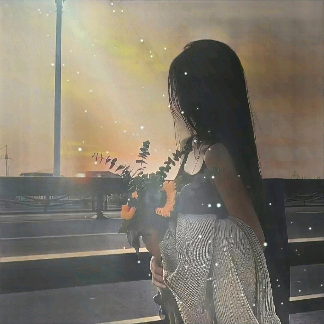 🌞🌞🌞乘风破浪的小草✨✨️✨️